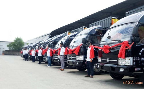 寧波至三門峽物流貨運專線服務 專業貨代物流解決方案