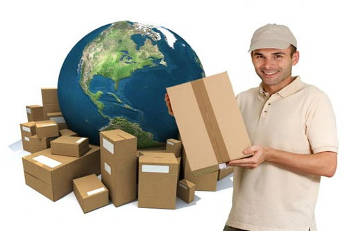 DHL國(guó)際小包裹丟失處理與天津海派貨運(yùn)保險(xiǎn)索賠及商檢報(bào)關(guān)指南