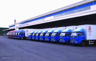 順德樂從至樟溪鎮貨運物流一站式服務 配送、安裝、商檢、報關全流程解析